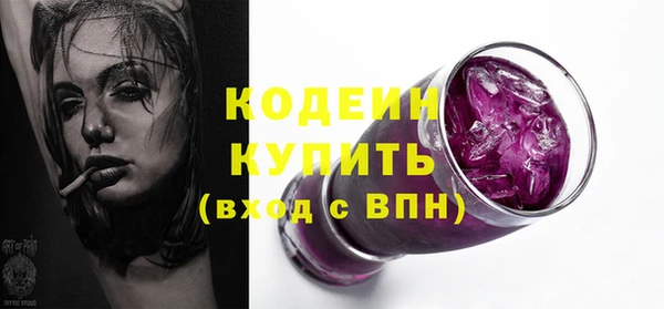прущие грибы Рославль