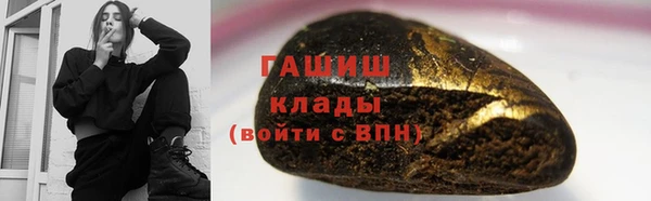 прущие грибы Рославль