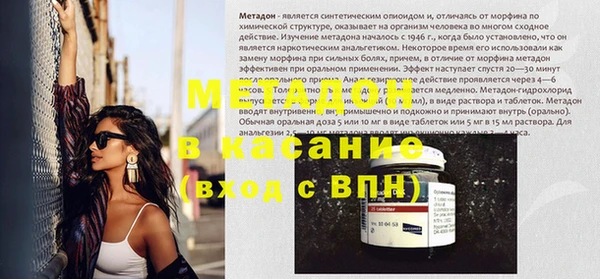 прущие грибы Рославль