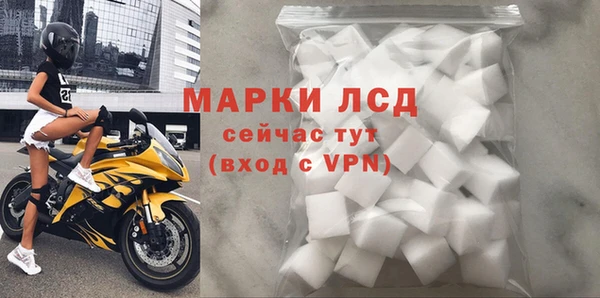 прущие грибы Рославль